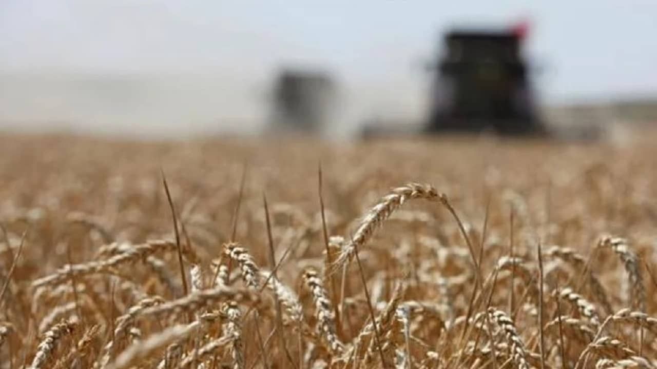 Tarım-ÜFE yüzde 151 arttı