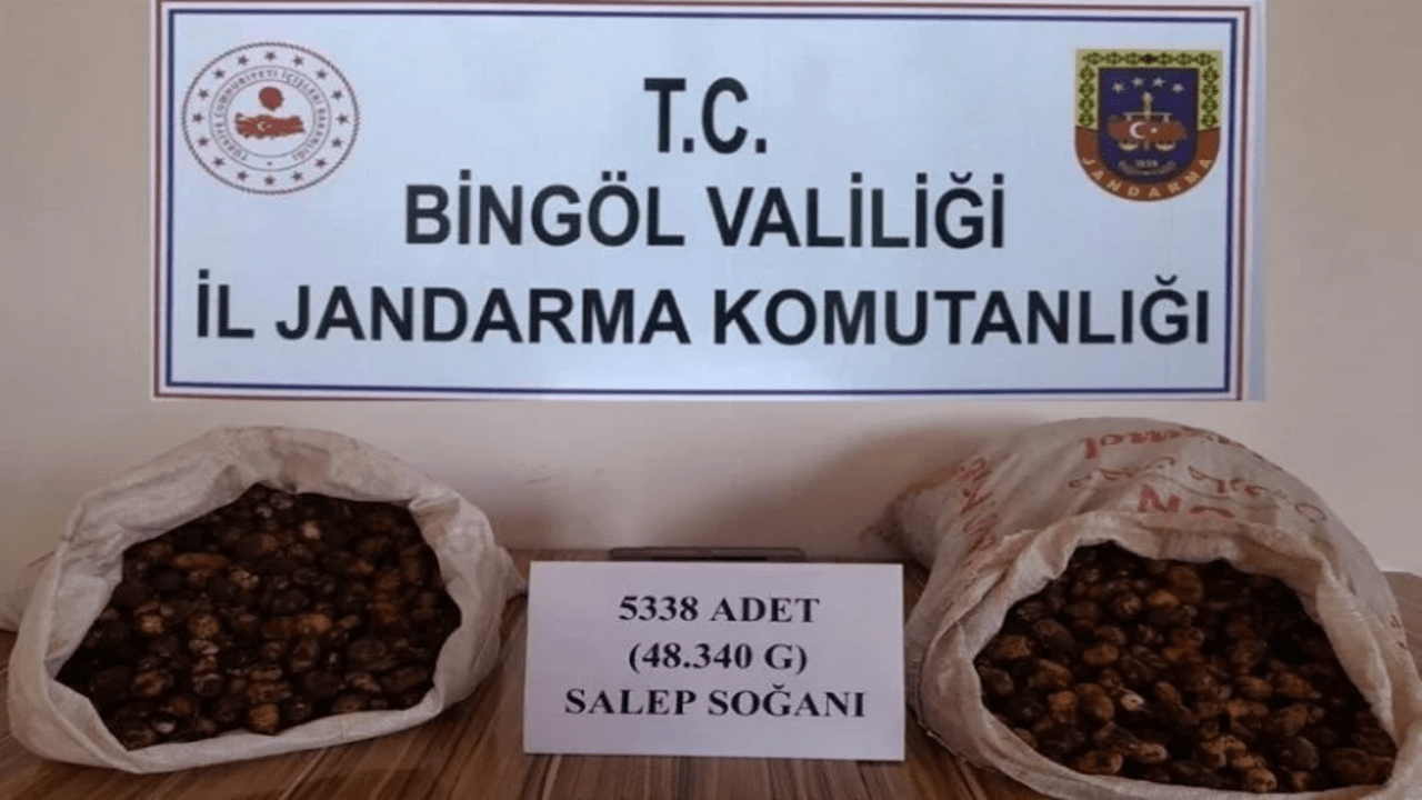 Bingöl'de salep soğanı toplayanlara 1 milyon 221 bin lira ceza kesildi