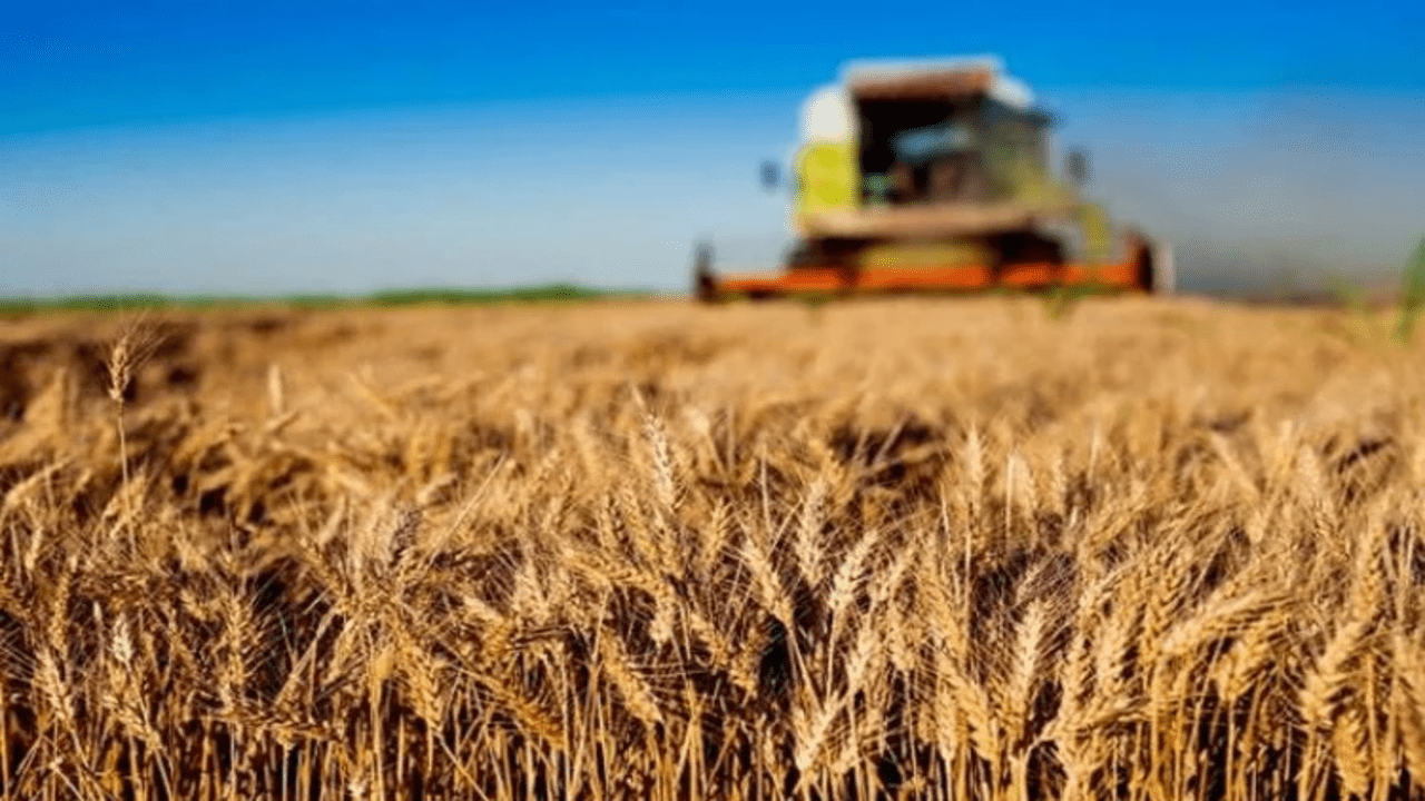 TÜİK açıkladı Tarım-ÜFE'ye göre maliyetler yarı yarıya arttı