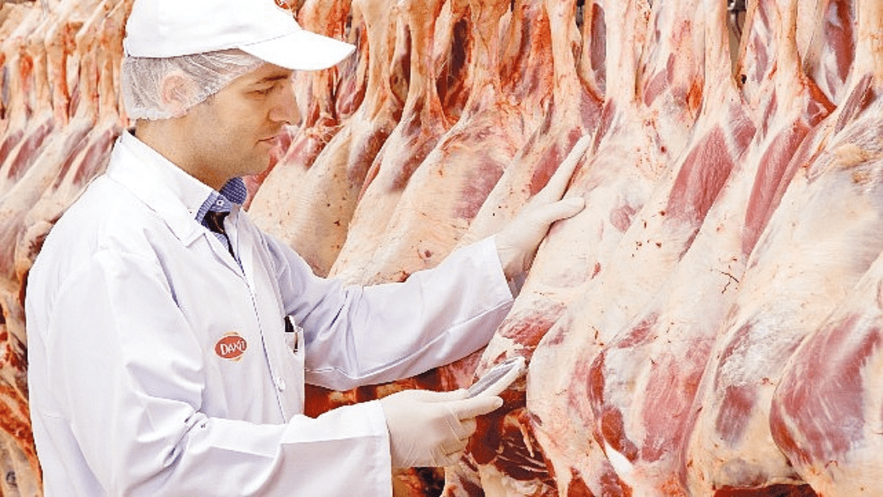 DANET'ten Sıcak Havalarda Et ve Et Ürünleri için Saklama ve Pişirme Önerileri
