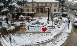Bursa'da İnegöl 'kar'ı hazır kıta bekliyor!