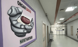 Ondokuz Mayıs Üniversitesi'nde bugüne kadar 700 organ nakli gerçekleştirildi