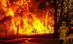 Avustralya'da orman yangınları nedeniyle binlerce kişi tahliye edildi