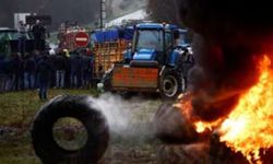 Çiftçiler, Brüksel'de protesto düzenledi