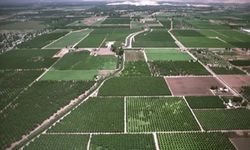 Tarım arazilerinin projeleri için 520 milyon lira ödenek ayrıldı