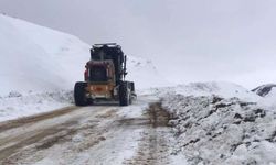 3 ilde 158 yerleşim yolu kar nedeniyle kapandı
