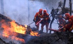 Çin'de orman yangını