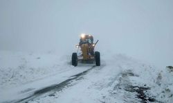 Erzurum'un kar nedeniyle 196 köy yoluna ulaşım sağlanamıyor