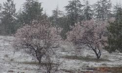 Malatya'daki kar yağışı "don" getirebilir.
