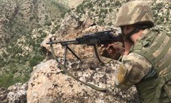 Pençe-Kilit operasyon bölgesinde 2 PKK elemanı öldürüldü