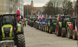 Polonya'da protesto düzenleyen çiftçiler polisle çatıştı