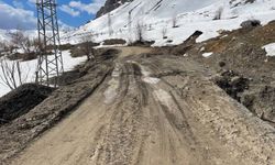 Şırnak'taki bozuk köy yolları halkı mağdur ediyor