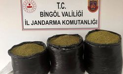 Bingöl'de 53 kilogram esrar ele geçirildi 