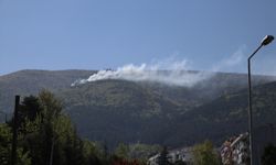 Bursa'daki orman yangını sürüyor 