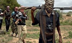 Nijerya'da silahlı saldırı: 25 ölü 