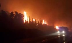 Samsun'da orman yangını 