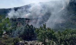 Yalova'da orman yangını