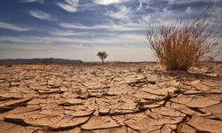 Zambiya, kuraklık nedeniyle yardım çağrısında bulundu