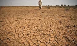 Zimbabwe kuraklık nedeniyle felaket durumu ilan etti