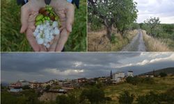 Siirt'te dolu yağışı fıstık üreticilerini mağdur etti 
