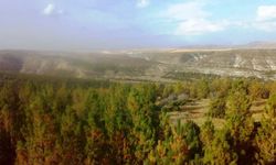 Konya'da ormanlık alanlara girişler yasaklandı