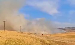 Mardin'de 120 dönüm arpa ekili arazi yandı