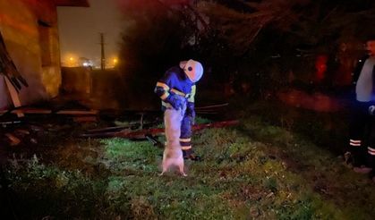 Düzce'de yangında mahsur kalan köpeği itfaiye kurtardı