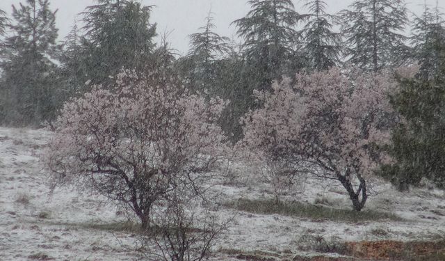 Malatya'daki kar yağışı "don" getirebilir.