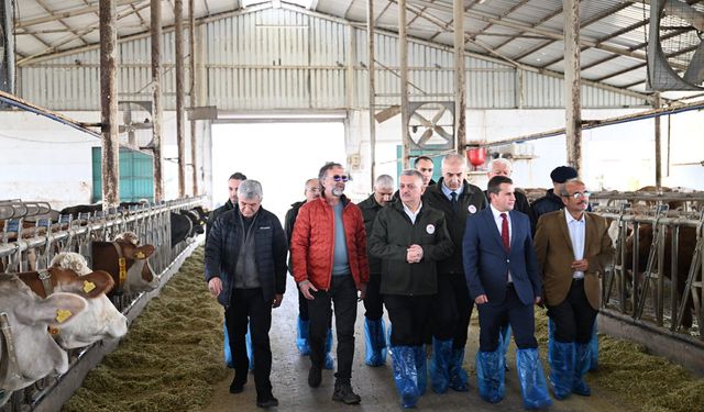 Vali Yazıcı, Akçadağ’daki süt çiftliği üretim tesislerini ziyaret etti