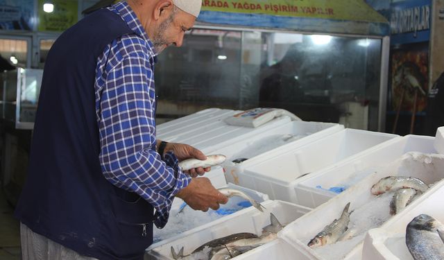 Balıkta av yasağı nedeniyle tezgahlardaki çeşitlilik azaldı