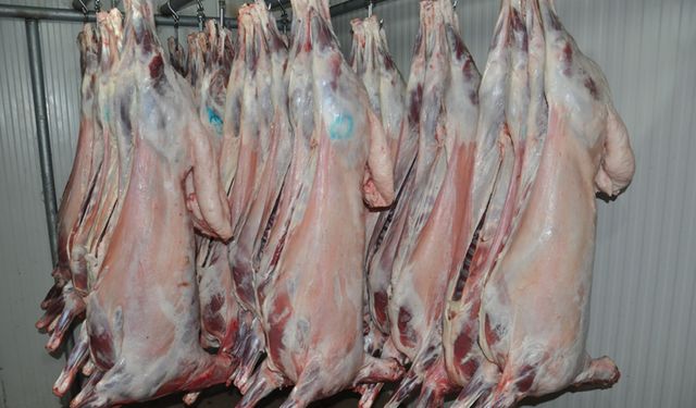 Kasaplar: Kırmızı et fiyatı düşüşe geçti