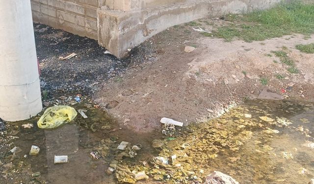 Mardin’de elektrik direğinin altından akan su hattı ölüm tehlikesi saçıyor 