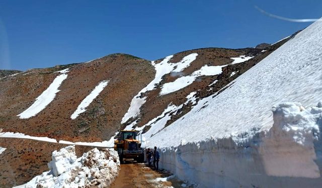 Siirt'te köy yoluna düşen kar ve taş kütleleri temizlendi