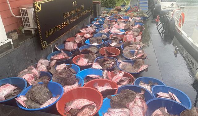 Yasa dışı balık avcılarına 351 bin lira ceza kesildi
