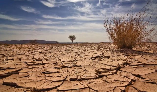 Zambiya, kuraklık nedeniyle yardım çağrısında bulundu