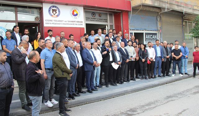 Cizre'de STK'lar ilçenin sorunları hakkında basın açıklaması düzenledi