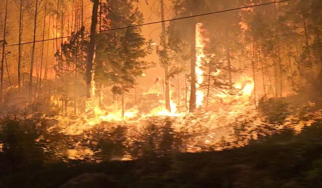 Kanada’da orman yangını