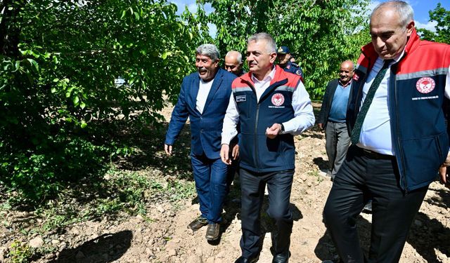 Malatya Valisi Yazıcı, meyve bahçelerindeki çalışmaları inceledi
