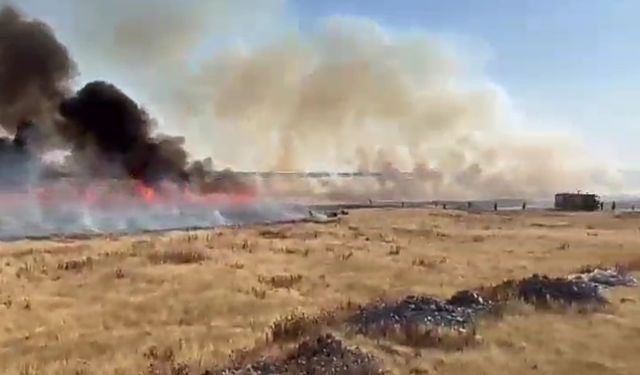 Mardin’de 250 dönüm arazi yanarak küle döndü
