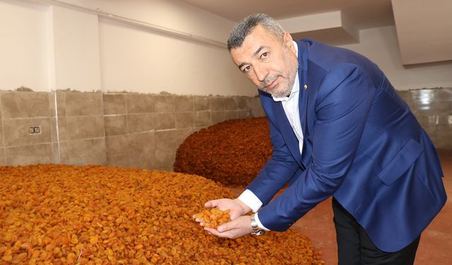 MTB Başkanı Özcan: Dünya genelindeki en kaliteli kayısı Malatya'da üretiliyor