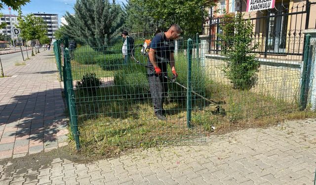 Siirt'te park ve bahçelerde temizlik ve çim biçme çalışmaları başlatıldı