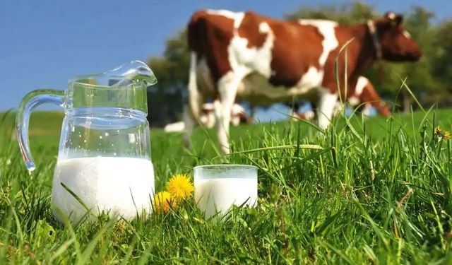 Ticari süt işletmelerince 982 bin ton inek sütü toplandı