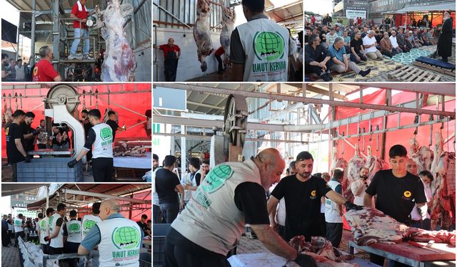 Umut Kervanı İstanbul'da kurban organizasyonu düzenledi