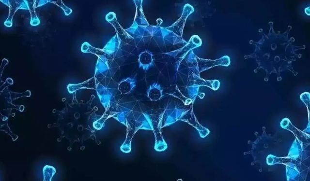 Hindistan'da Chandipura virüsü nedeniyle 48 kişi öldü