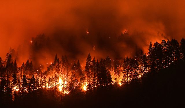 Rusya’da orman yangınları nedeniyle "acil durum" ilan edildi